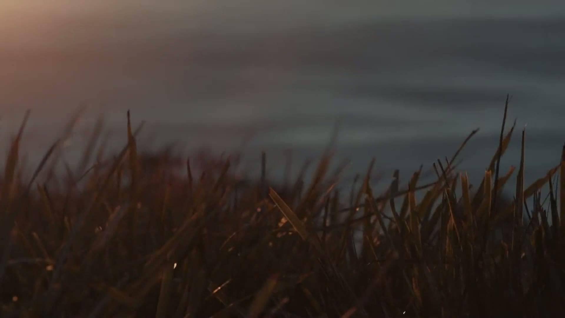 Video Facade Video Preview